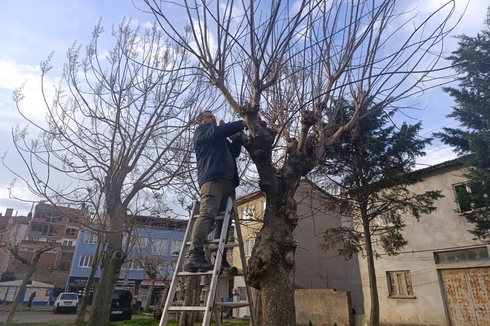 Bursa Gemlik