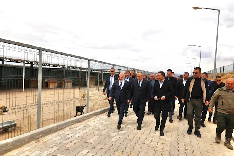 Bakan Yardımcısı Sağlam, Hayvan Kasabası’nı Ziyaret Etti