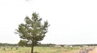 Kepez’e Gençlik Parkı geliyor